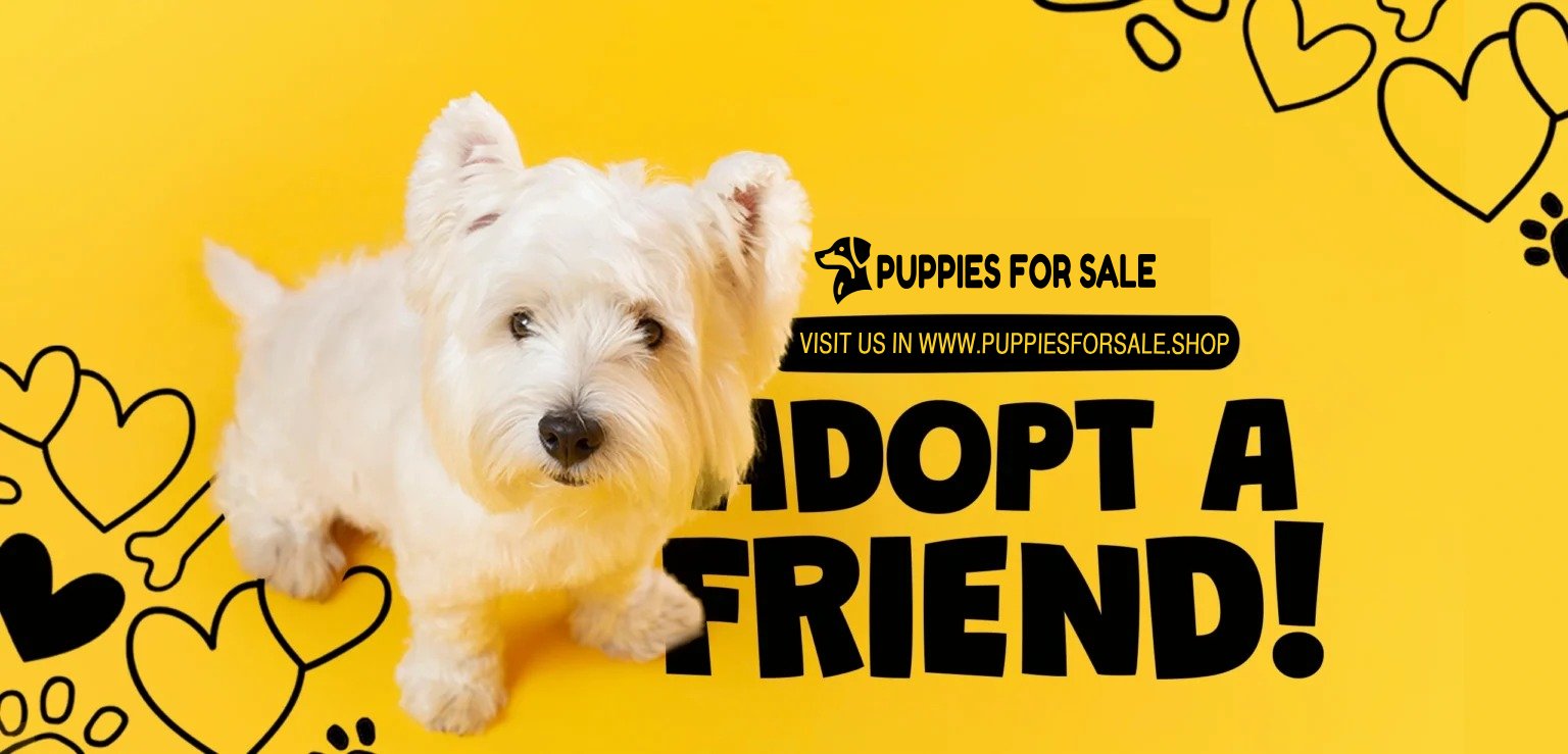 Puppies for sale in uk (1)